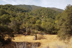 20171017_104853