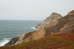 P1010219