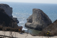 P1010231
