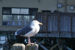 P1010284