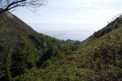 P1010364