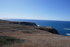 P1000767