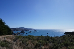 P1000774