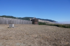 P1000785