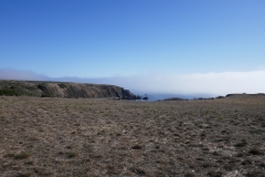 P1000786