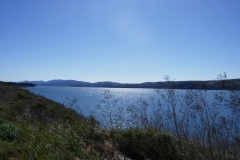 P1000801