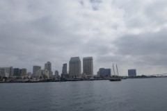 P1010503