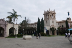 P1010524