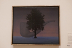P1010555