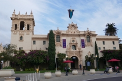 P1010567