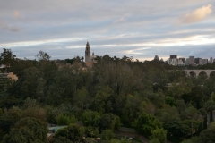 P1010726