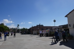 P1010741