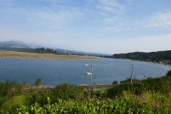 P1000491
