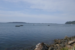 P1000498
