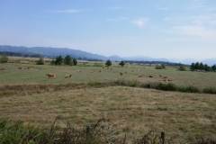 P1000502
