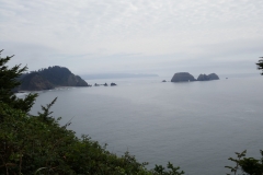 P1000505