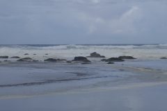 P1000539