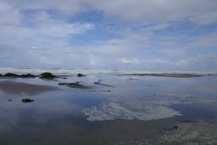 P1000544