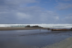 P1000556