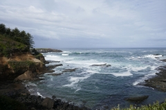 P1000582