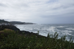 P1000586