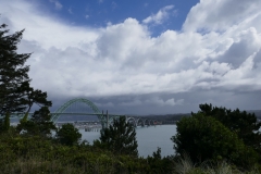 P1000591