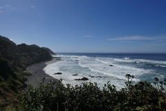 P1000605