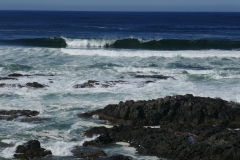 P1000608