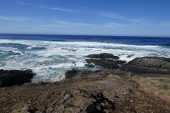 P1000609