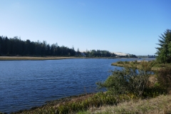 P1000621