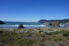 P1000664