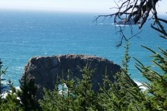 P1000674