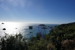 P1000676