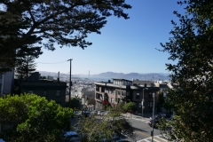 P1010043
