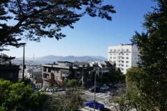 P1010046