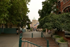 P1000291