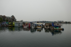P1000312