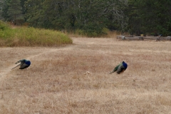P1000316