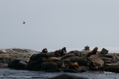 P1000342
