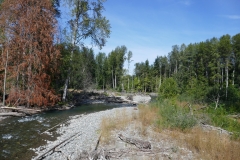 P1000400