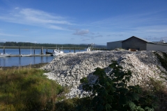 P1000428
