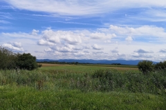 IMG_20190813_141903