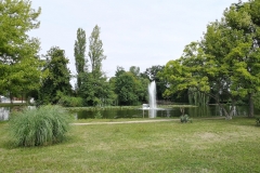 IMG_20190814_102451