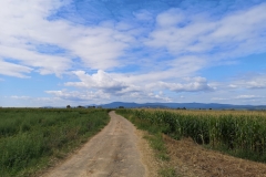 IMG_20190814_104527