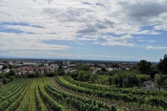 IMG_20190814_112647