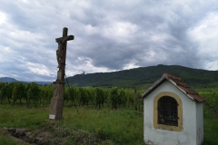IMG_20190814_133650