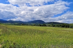 IMG_20190814_152722