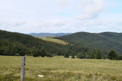 IMG_20190816_115320