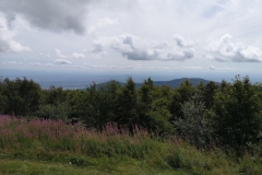 IMG_20190816_131942