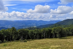 IMG_20190816_133330